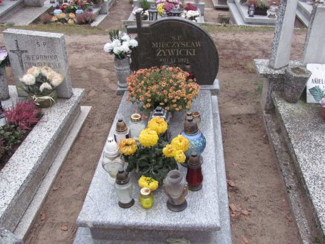 Grób Mieczysław Żywicki