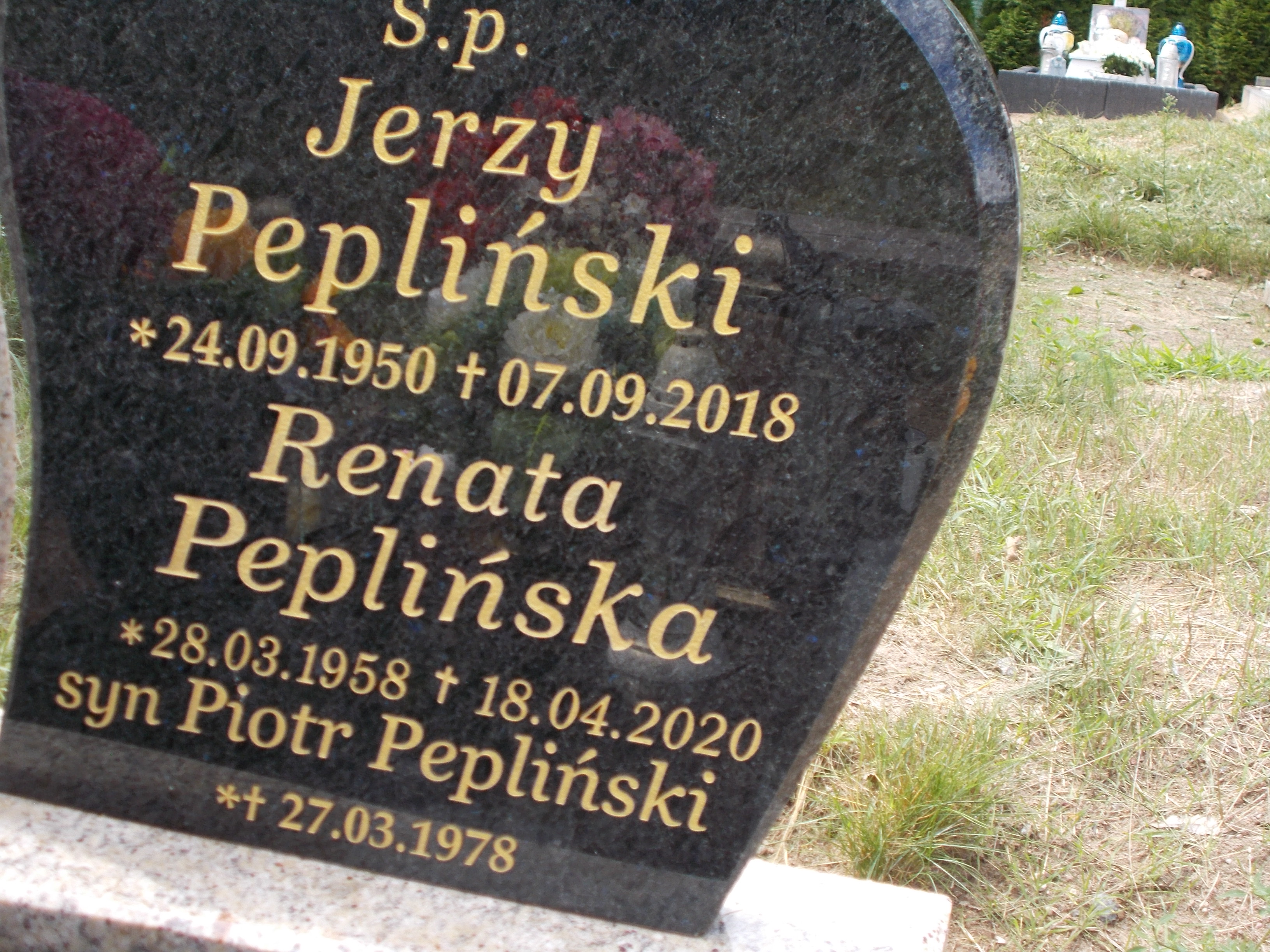 Jerzy Pepliński 1950 Pogódki - Grobonet - Wyszukiwarka osób pochowanych