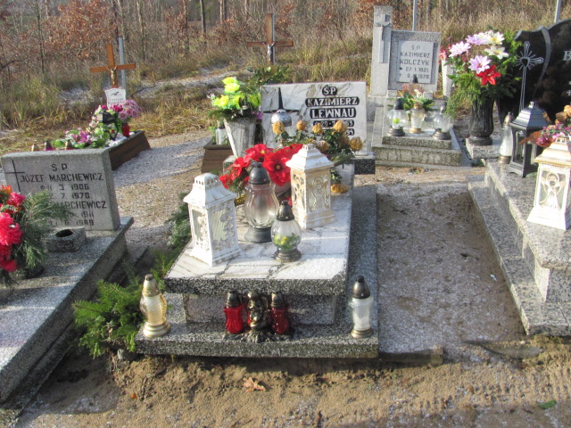 Grób Kazimierz Lewnau
